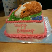 Guinea Pig Cake A friend's granddaughter wanted a cake that looks like her new guinea pig. I came up with this, rather than having to chop into a...