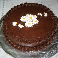Chocolate Cake 