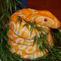 Albino Burmese Python Cake Albino Burmese Python Cake made for my son's 5th birthday party.