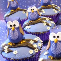 Hoot White chocolate & raspberry mud cakes with white chocolate ganache & fondant. Owls are made out of fondant icing with a little gum...