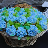 Hydrangea Cupcake Basket Bouquet White cupcakes with buttercream. Basket held exactly 23 cupcakes. I forgot to take pictures before dropping off at the event. A friend took...