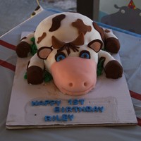 Cow Cake i made thi for my sons 1st birthday...