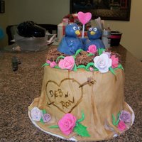 Love Birds Anniversary cake for 25th. Was inspired by cakes on this site, you can get so many great idea's from everyone..Thank you all.