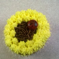 Sunflower With Ladybug This was not how I intended this cupcake to look. My client was dead set against buttercream frosting and only wanted cream cheese frosting...