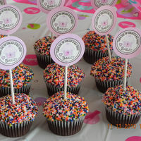 Circus Cupcakes My 4 year old niece wanted a barbie cake, circus cupcakes and chocolate cupcakes with raspberry filling and pink frosting.