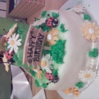 Lady Bug Cake Birthday