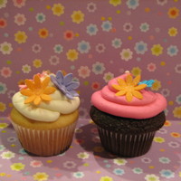 Daisy Cupcakes Cupcakes for preschool treats for a little girl.