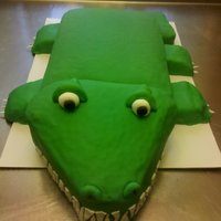 Alligator Alligator that I made for a birthday. It took 5 batches of cake to make this cake. But I learned an important lesson...cover the individual...