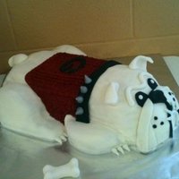 Georgia Bulldawg Grooms Cake 