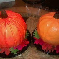 Pumpkin Cakes these are my pumpkin cakes, first time i have ever attempted this!!! choc mud and pumpkin both covered in fondant, one is satin ice, i...