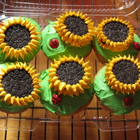 Sunflower Cupcakes Chocolate Chip Cupcakes decorated with Oreos to make them look like sunflowers and m&m's as ladybugs.