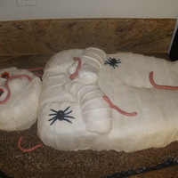 It's Alive! Mummy This was a total of ten cakes and measured over 2 feet long! It was for a huge local Halloween party