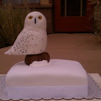 Snow Owl Made this for a bday. Poured the eyes with sugar