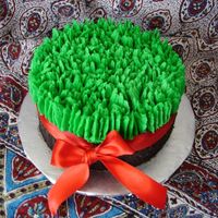 Persian New Year Chocolate cake with oreo crumb base. Used all buttercream.