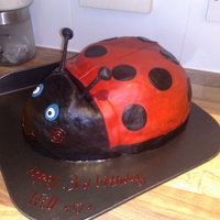 Gaston The Ladybird I made this ladybird from the popular childrens programme Ben & Holly's Little Kingdom. My son loved it!