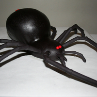 The Black Widow Sculpted cake covered in textured fondant. Toasted almond genoise with vanillabean buttercream and dark chocolate buttercream. Gumpaste...