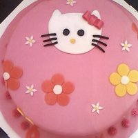 Hello Kitty Hello Kitty!