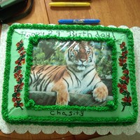 Tiger Cake tiger cake, I made for my sister