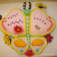 Keira's 3Rd Birthday Cake This was my very first decorated cake. I discovered I loved decorating cakes and I had so much fun! This was also my first time using...