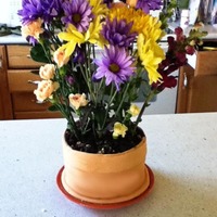 Flower Pot Cake The pot is chocolate cake with cream cheese frosting, covered in MMF.