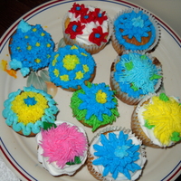 Cupcake Flowers 3Rd Class flower cupcakes from my 3rd week of wilton classes # 1