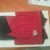 Star Trek Tng Uniform Shirt/ Insignia from Star Trek TNG for my Husband's 30th b'day