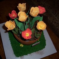 Tulip Cake Mom's Birthday/Mother's Day Cake