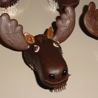 Moose Cupcake From the book What's New, Cupcake
