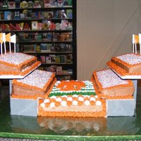 Tn Vols Birthday Stadium Cake 