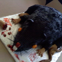 Rat Cake Nov 2010 this cake was a blast to make