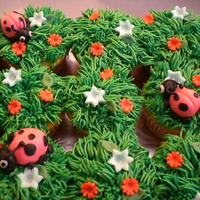 Ladybug Cupcakes 