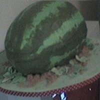Watermelon Cake 2002- Red chocolate chip cake inside with buttercream marbled green icing covering for a watermelon themed summer birthday cookout. There...