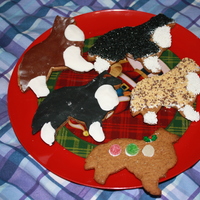 Sheltie Gingerbread Cookies My first attempt at fondant on cookies. Also there are sprinkles. :D