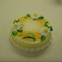 Picture_046.jpg Just something simple for a Birthday cake