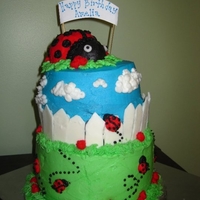 First Birthday Lady Bug Cake A lady bug cake for my niece's first b-day. Buttercream icing, grass, clouds and little lady bugs, the fence is almond bark and the...