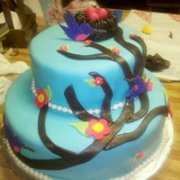 Bird Cake bird cake