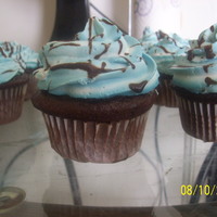 Chocolate Cupcakes With Whipped Cream Drizzled W/chocolate! 
