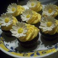 Chocolate Cupcakes With Lemon Buttercream, With White Daisies! 