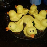Rubber Ducky You're The One Cupcakes made for my 2 year old nephew's birthday.