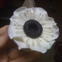 Anemone- Gumpaste This is my first anemone what do you think? I plan to charge $10 for an added flower to a cake.