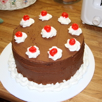 French Vanilla/brownie French vanilla cake cut in half with brownie put in between. The layers were filled with Nutella buttercream. Covered in chocolate...