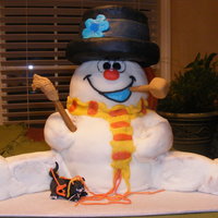 Frosty The Snowman all fondant covered vanilla cake. The cake is made out of fondant. Made this for my sister in law who has a small cat that is into...