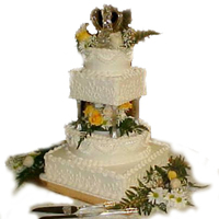 Spring Daisies The square tiers of this cake featured hand piped flowers to match the bridal gown. The round tiers featured simple scallops and string...