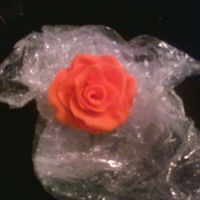 Chocolate Rose My first chocolate rose, I`m still new to decorating, but i just had to try it!