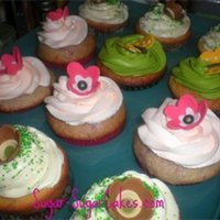 Assorted Cupcakes 