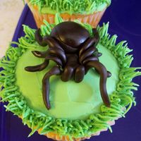 Tarantula My now 6 yr old HAD to have a tarantula party-which included a tarantula cake (cupcakes). He LOOOVVVVEEESSSS bugs -all of them. I Hate...
