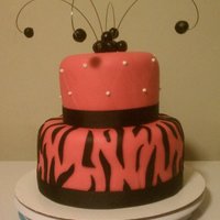 22Nd Surprise Party This was my 1st zebra stripe cake and i know alot of people think that they are overrated but i was really proud of it. I would have liked...
