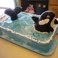 Orca 