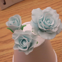 Gumpaste Roses I'm taking a class @ Joanns and last night we learned how to make gumpaste roses.. i LOVE how mines turned out :-)