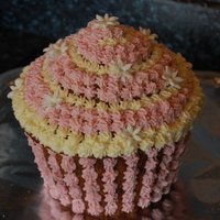 Giant Cupcake 